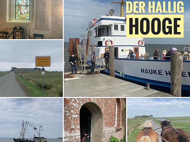 Collage über die Hallig Hooge.